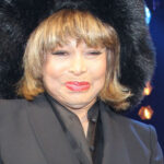 tina turner vermögen