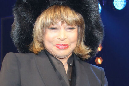 tina turner vermögen