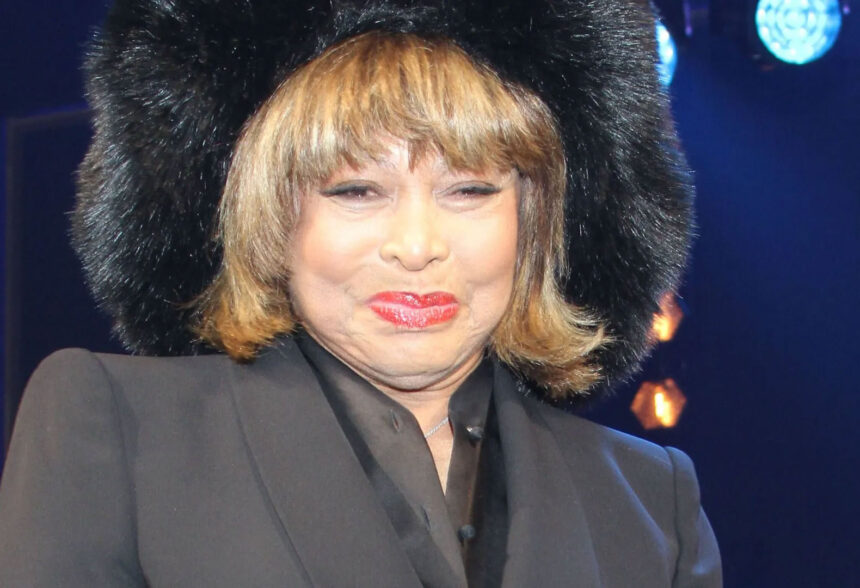 tina turner vermögen